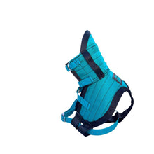 Load image into Gallery viewer, ULTRA ¼ CHESTPLATE TURQUOISE /BLACK