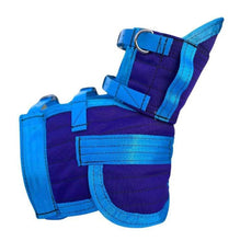 Load image into Gallery viewer, ULTRA ¾ CHESTPLATE WITH LEG PLATES PURPLE /BABY BLUE