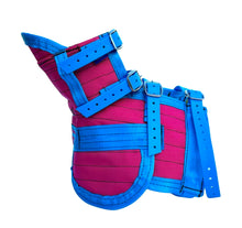 Load image into Gallery viewer, ULTRA ¾ CHESTPLATE WITH LEG PLATES PINK/BABY BLUE