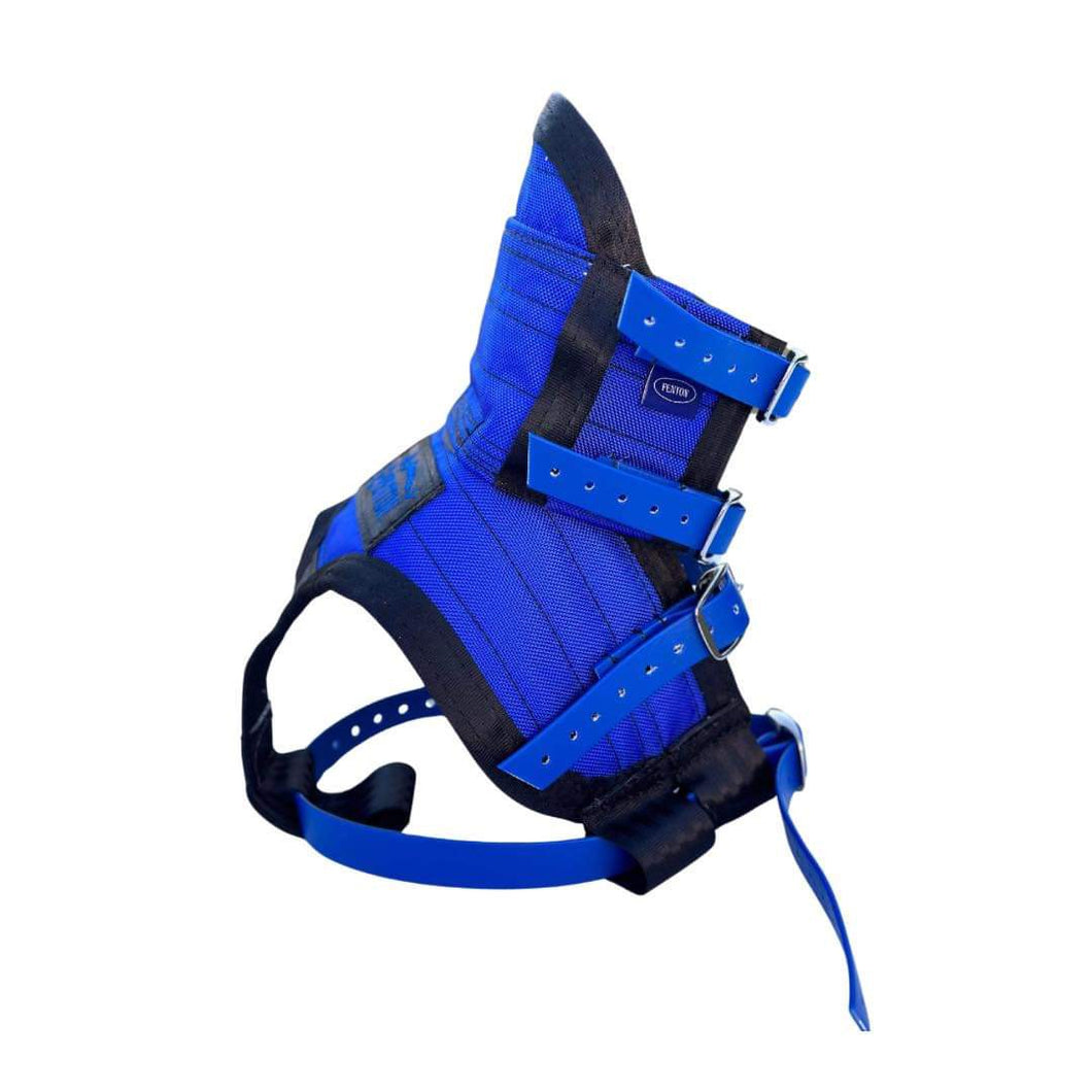 ULTRA ¾ CHESTPLATE WITH LEG PLATES ROYAL BLUE / BLACK EDGES