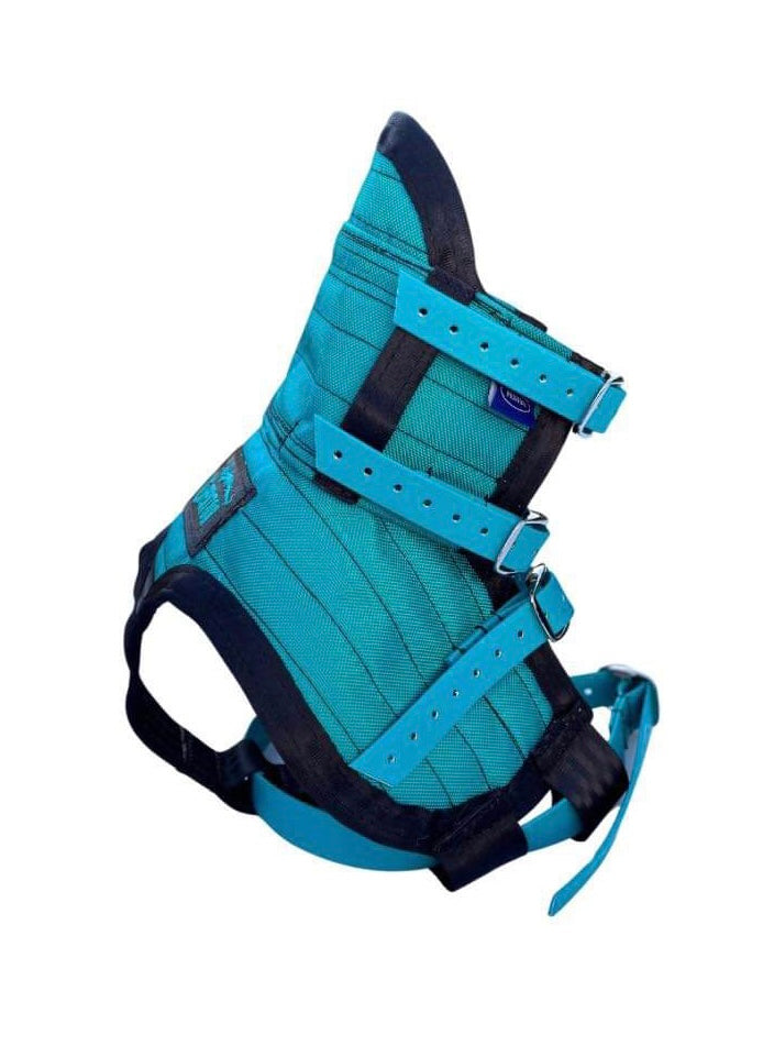 ULTRA ¼ CHESTPLATE TURQUOISE /BLACK