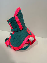 Load image into Gallery viewer, ULTRA ¼ CHESTPLATE TURQUOISE / PINK/ TURQUOISE STRAPS