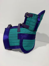 Load image into Gallery viewer, M 33-39KG | FENTON ULTRA ¾ CHESTPLATE WITH LEG PLATES TURQUOISE / PURPLE