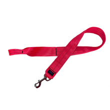 Load image into Gallery viewer, 1m WALKING LEAD WITH DOG CLIP